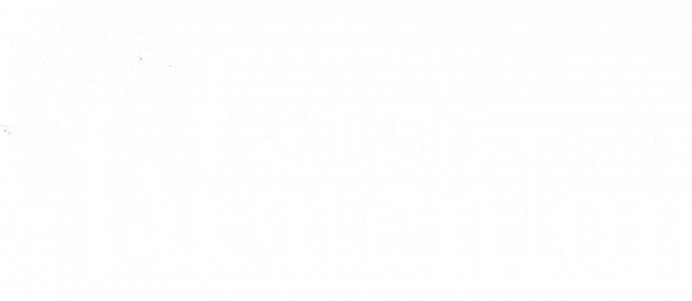 logo-blanc